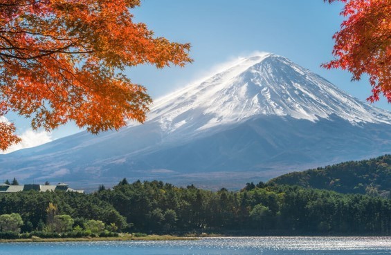 生 富士山 配信 滑落